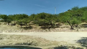 Terreno en venta en San Miguel de Allende